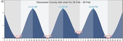 Next HIGH TIDE in Gloucester is at 3:03AM. which is in 3hr 9min 34s from now. Next LOW TIDE in Gloucester is at 9:19AM. which is in 9hr 25min 34s from now. The tide is rising. Local time: 11:53:25 PM. Tide chart for Gloucester Showing low and high tide times for the next 30 days at Gloucester. Tide Times are EST (UTC -5.0hrs).
